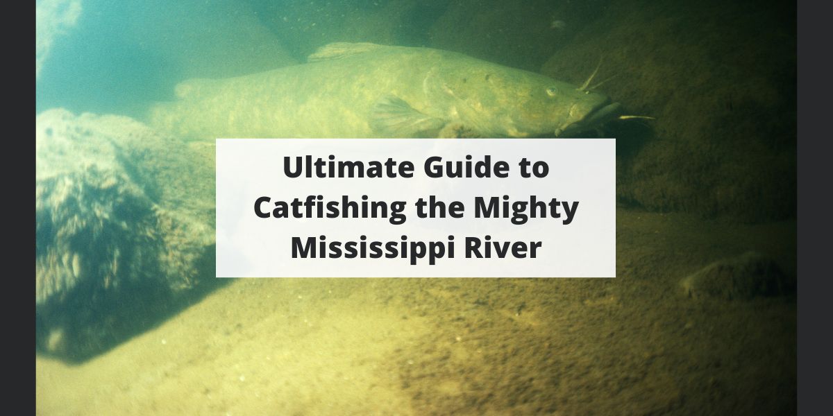 Catfishing the Mississippi River