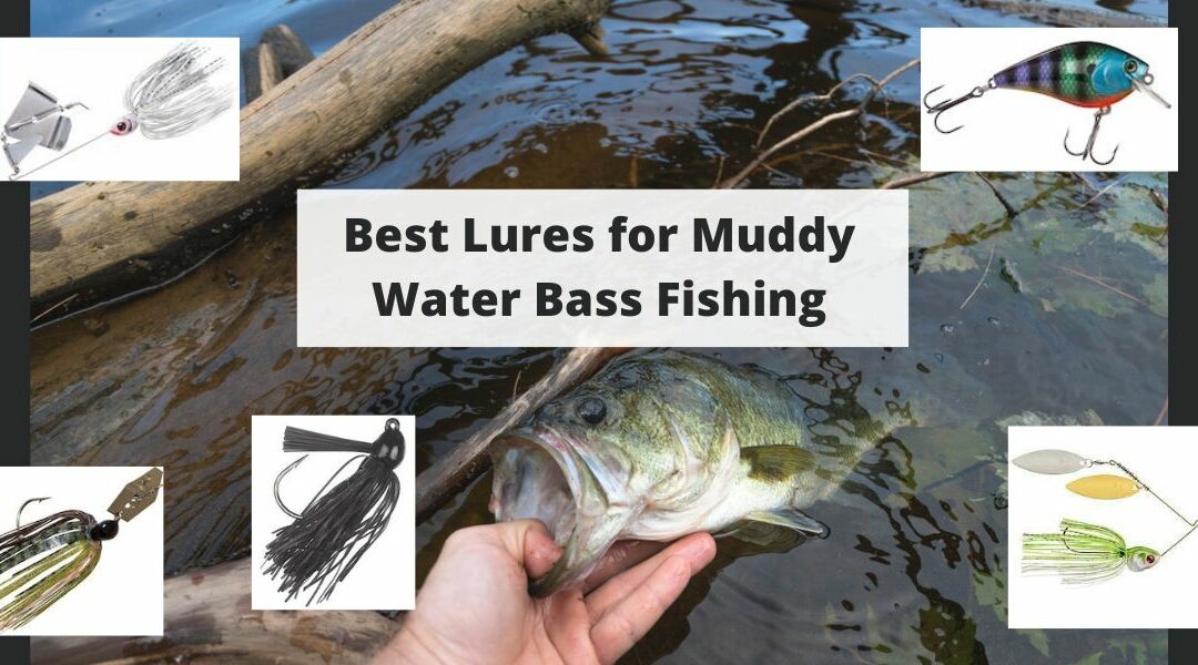 Best Lures for Muddy Water Bass Fishing