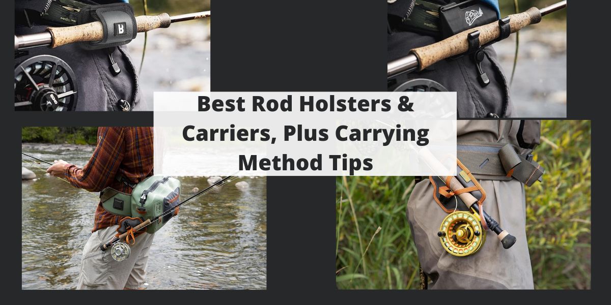 Best Rod Holsters & Carriers