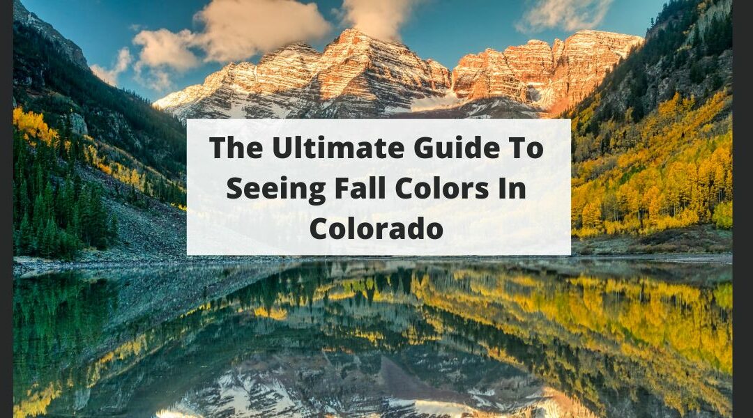 The Ultimate Guide To Seeing Fall Colors In Colorado