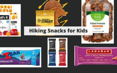 Hiking Snacks for Kids: Fueling Adventure with Healthy and Tasty Treats