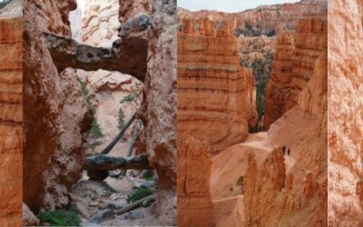 Navajo Loop Trail – Bryce Canyon National Park Hiking Guide