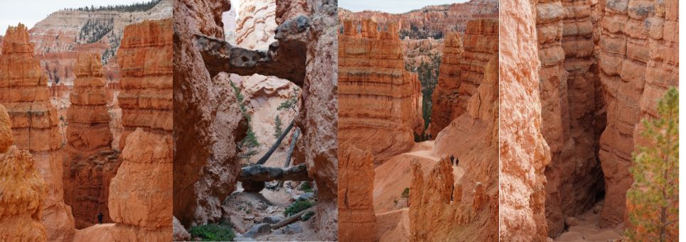 Navajo Loop Trail – Bryce Canyon National Park Hiking Guide